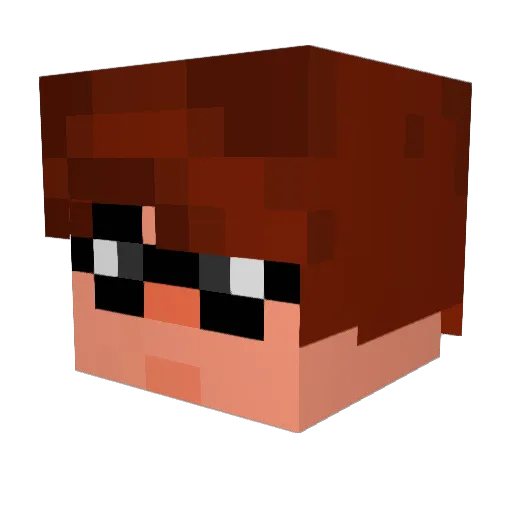 Yankiwi Minecraft avatar head, 3D render