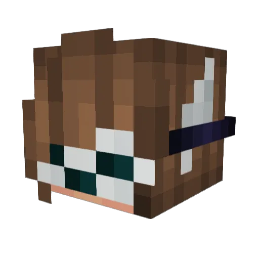 Yanks9874 Minecraft avatar head, 3D render