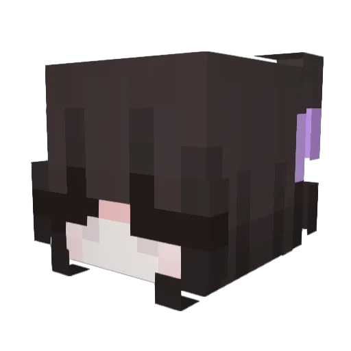 Yankszxc Minecraft avatar head, 3D render