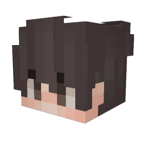 Yanky47 Minecraft avatar head, 3D render