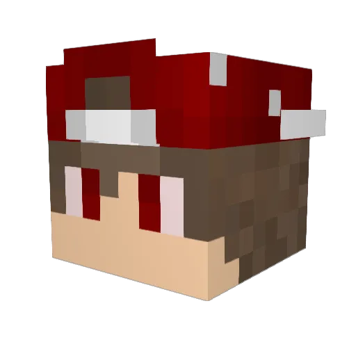 Yann_ Minecraft avatar head, 3D render