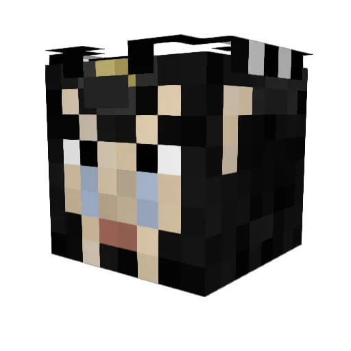 Yanok Minecraft avatar head, 3D render