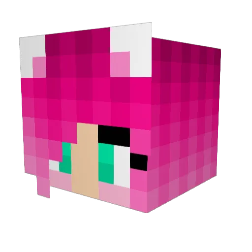 Yanoura Minecraft avatar head, 3D render