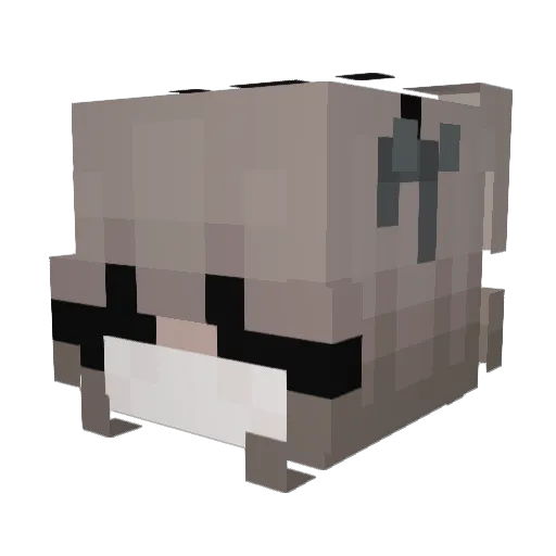 Yanqin666 Minecraft avatar head, 3D render
