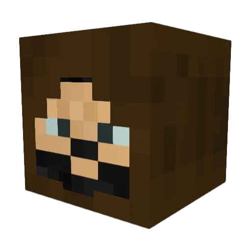 Yanray_ Minecraft avatar head, 3D render
