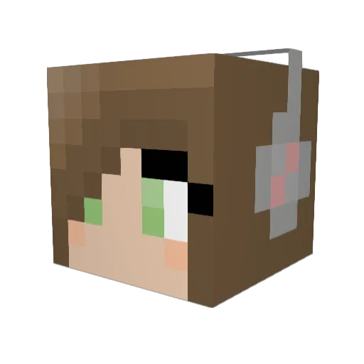 YaoYaoDel Minecraft avatar head, 3D render