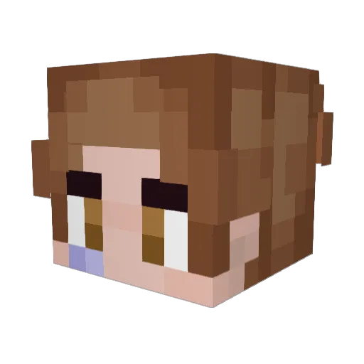 YapOel Minecraft avatar head, 3D render