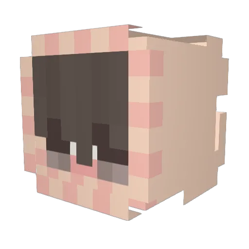 Yar0n_ Minecraft avatar head, 3D render