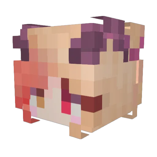 YarKanex Minecraft avatar head, 3D render