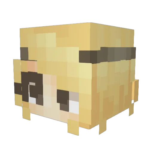 Yara2610 Minecraft avatar head, 3D render