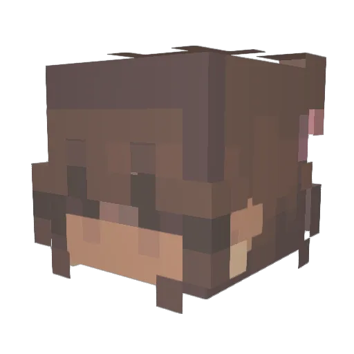 YarmBim Minecraft avatar head, 3D render