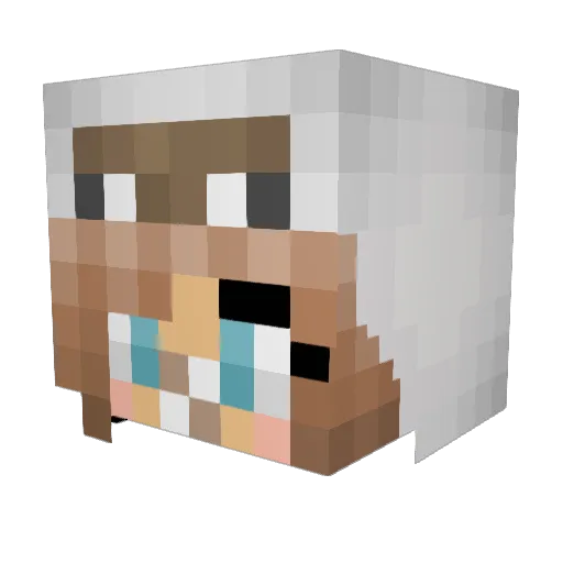 Yarpje Minecraft avatar head, 3D render