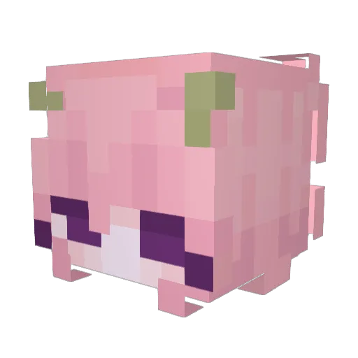 Yarrowa_ Minecraft avatar head, 3D render