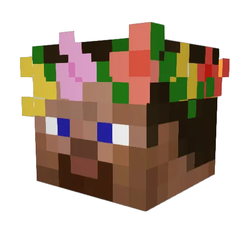 Yarrowo Minecraft avatar head, 3D render