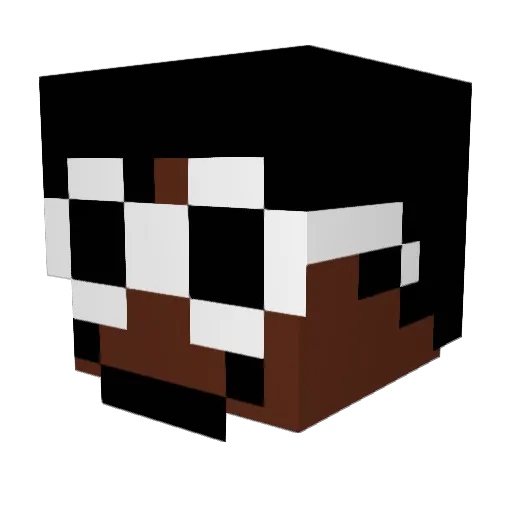 YashyBoy69 Minecraft avatar head, 3D render