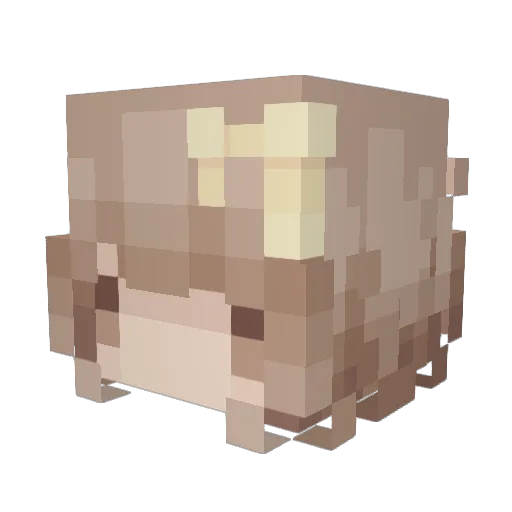 Yasmin2011 Minecraft avatar head, 3D render