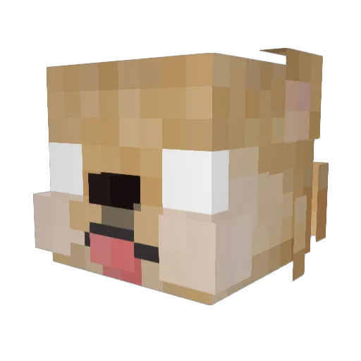 Yataliban Minecraft avatar head, 3D render