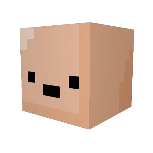 Yatsukki Minecraft avatar head, 3D render