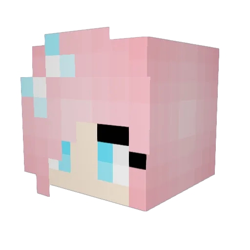 Yaws555 Minecraft avatar head, 3D render