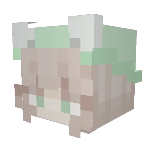 YayaTheBeast10 Minecraft avatar head, 3D render