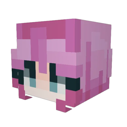 Yaydengoop Minecraft avatar head, 3D render