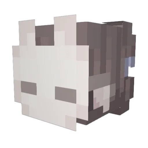 Yayis20 Minecraft avatar head, 3D render