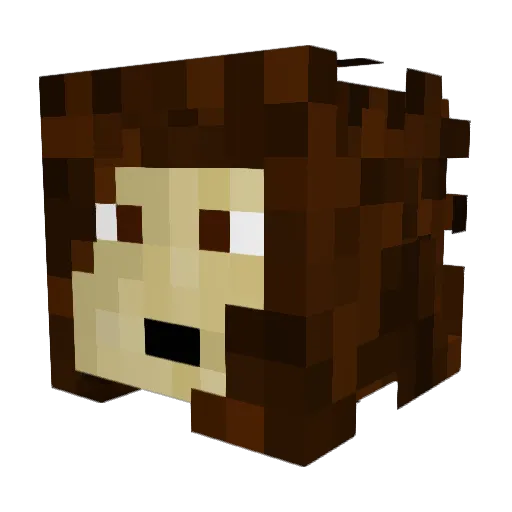 YazzyTR Minecraft avatar head, 3D render