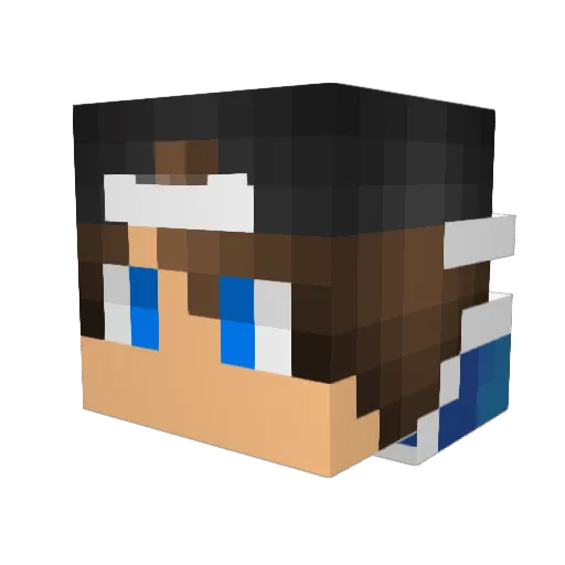 Ybica007 Minecraft avatar head, 3D render