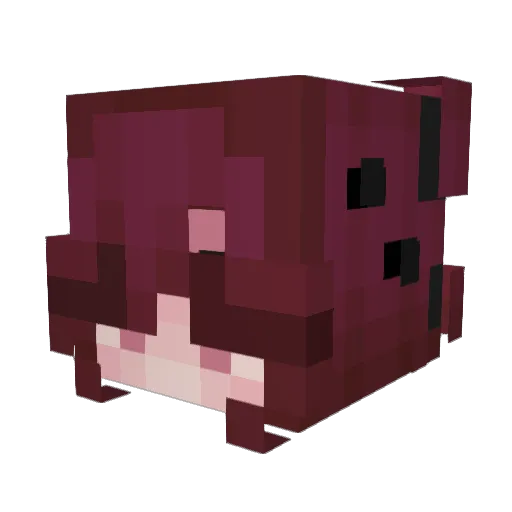 Ydna2468 Minecraft avatar head, 3D render