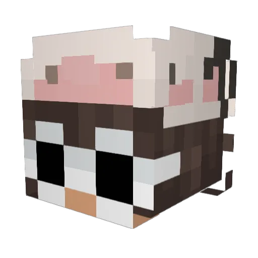 YeHAWWOE Minecraft avatar head, 3D render