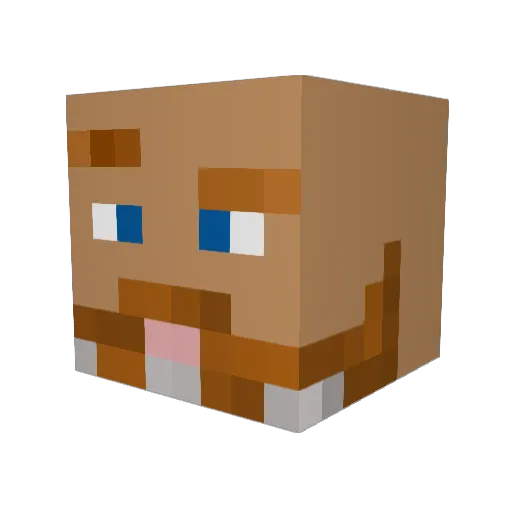 YeOldTechGuy Minecraft avatar head, 3D render
