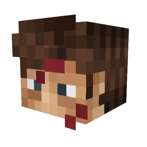 YeaItzEvan6569 Minecraft avatar head, 3D render