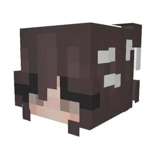 Yeaheh75 Minecraft avatar head, 3D render