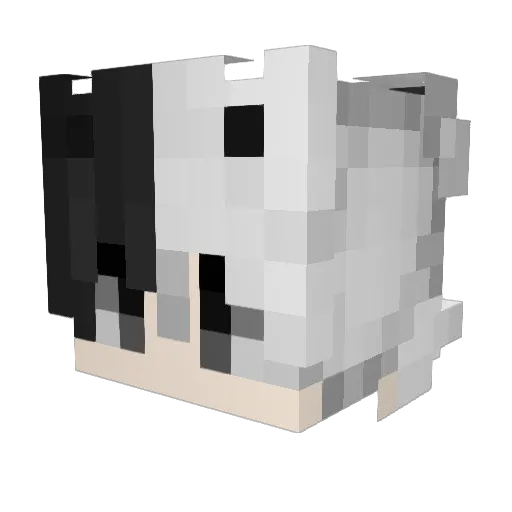 Yeahs_ Minecraft avatar head, 3D render