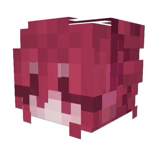 YearningWolf Minecraft avatar head, 3D render