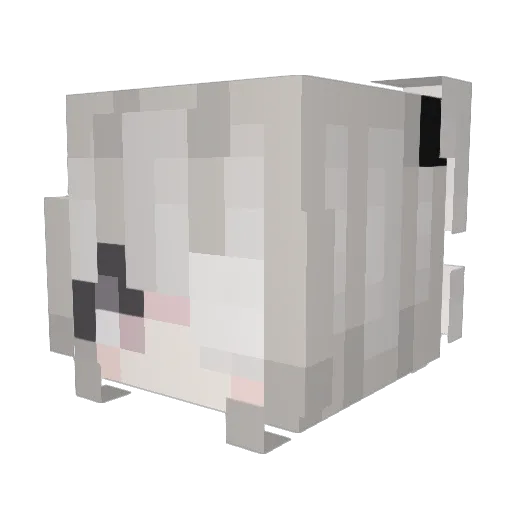 YeatCat Minecraft avatar head, 3D render