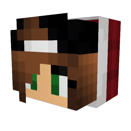 YeeHaw99 Minecraft avatar head, 3D render