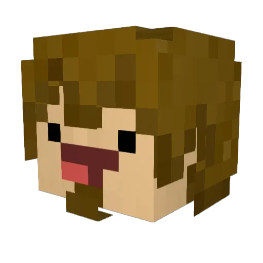 Yeechums Minecraft avatar head, 3D render
