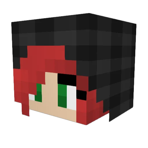 Yeehaw404 Minecraft avatar head, 3D render