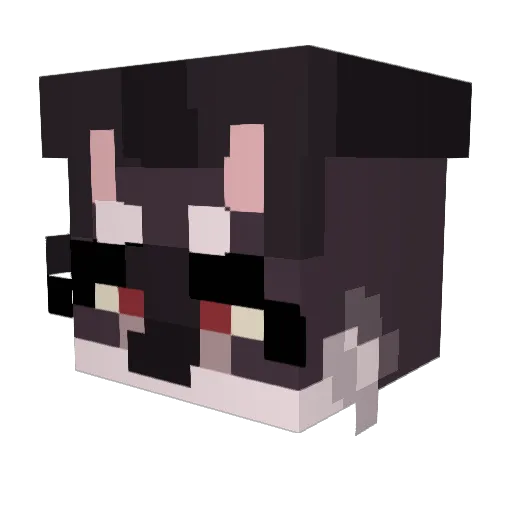 Yeehaw_Goth Minecraft avatar head, 3D render