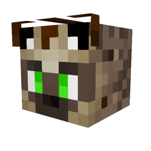 YeenBeanMachine Minecraft avatar head, 3D render