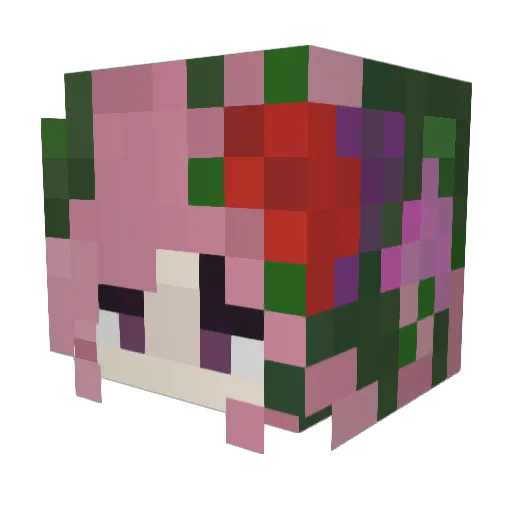 YeetDaSn0wBall Minecraft avatar head, 3D render