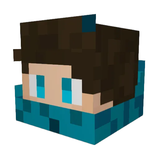 Yeet_fishy_ Minecraft avatar head, 3D render