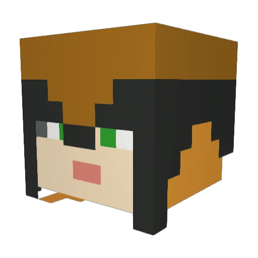 Yeetacai Minecraft avatar head, 3D render