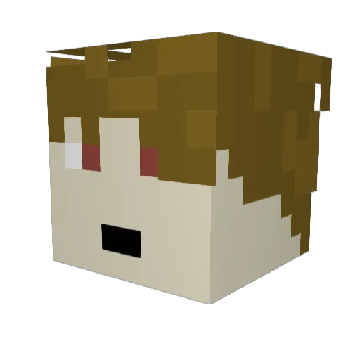 YeetboiMATE Minecraft avatar head, 3D render