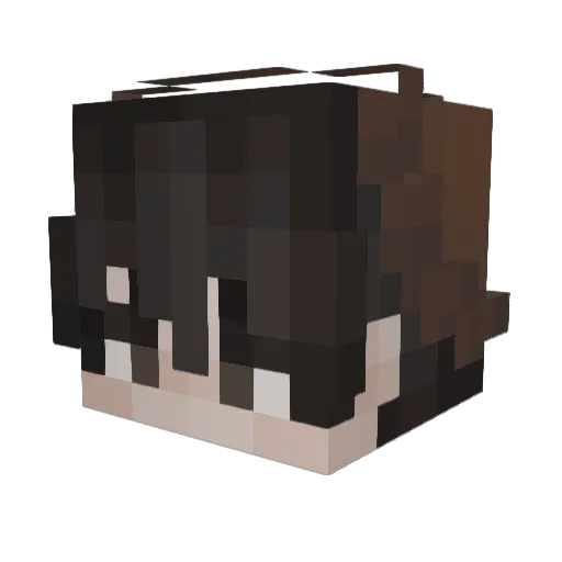 Yeeterboi69 Minecraft avatar head, 3D render