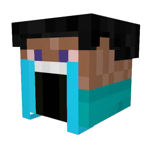 Yeetking1884 Minecraft avatar head, 3D render
