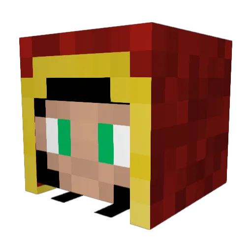 YeetleMorph Minecraft avatar head, 3D render
