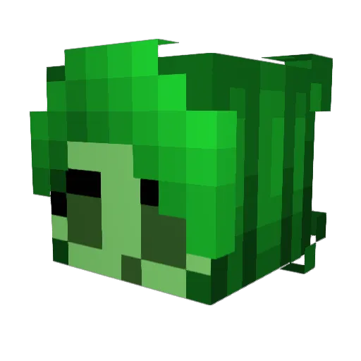Yeetmaster29302 Minecraft avatar head, 3D render