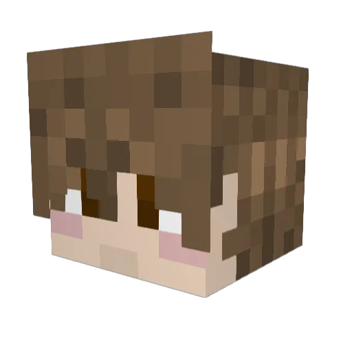 YeetsForWeeks Minecraft avatar head, 3D render